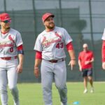 cards pl