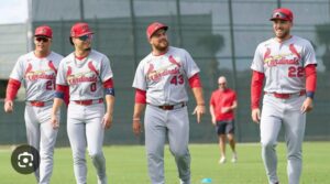 cards pl