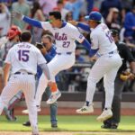 mets pl