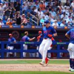 mets pl