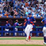 mets pl