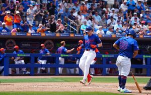 mets pl