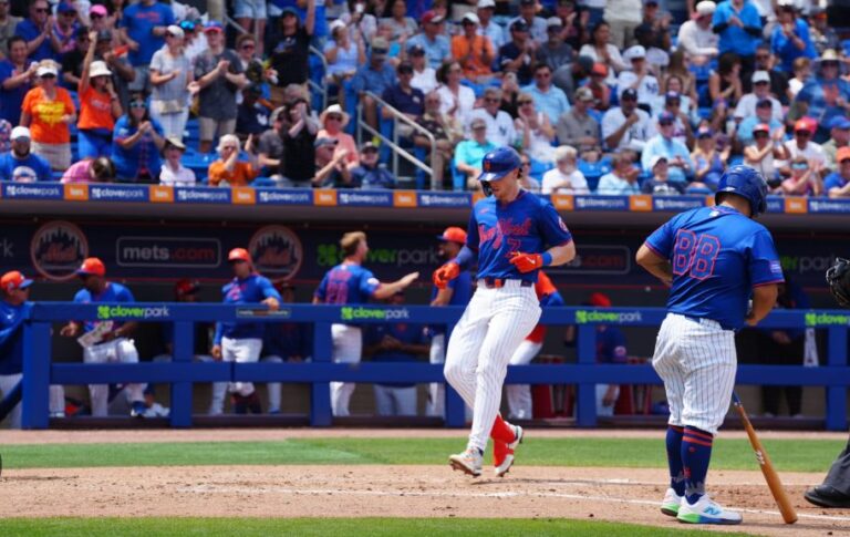 mets pl