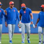 mets pl