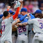 mets pl