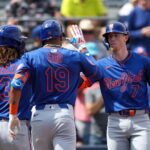 mets pl