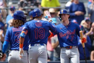 mets pl