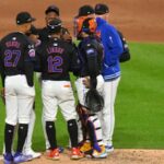 mets pl