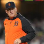 tigers m