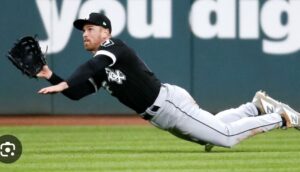 white sox pl