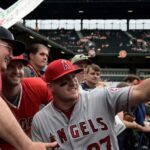 angels fans