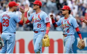 cards pl