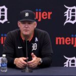 tigers m