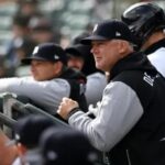 tigers m