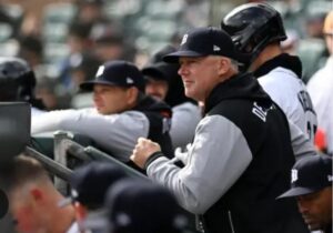 tigers m