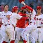 angels pl