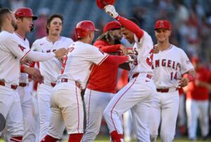 angels pl