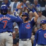 cubs pl