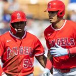 angels pl