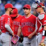 angels pl