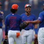 mets pl