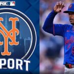 mets pl