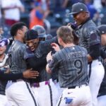 mets pl